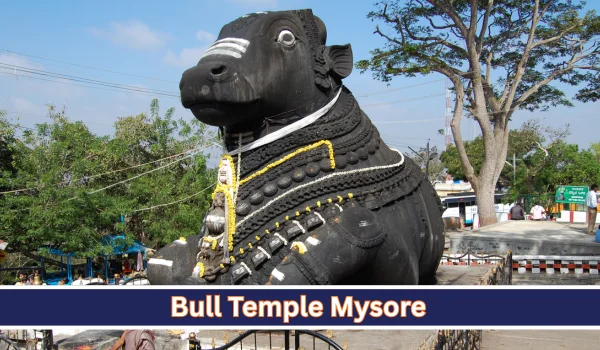 Bull Temple Mysore: Timing, History, Nearby Attraction & How to Reach